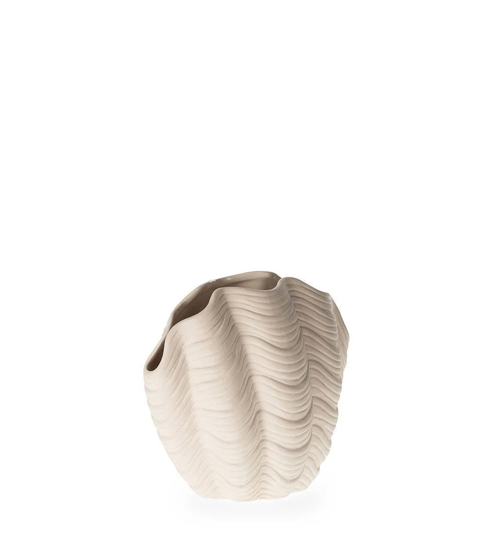 Decorative Shell Vase White