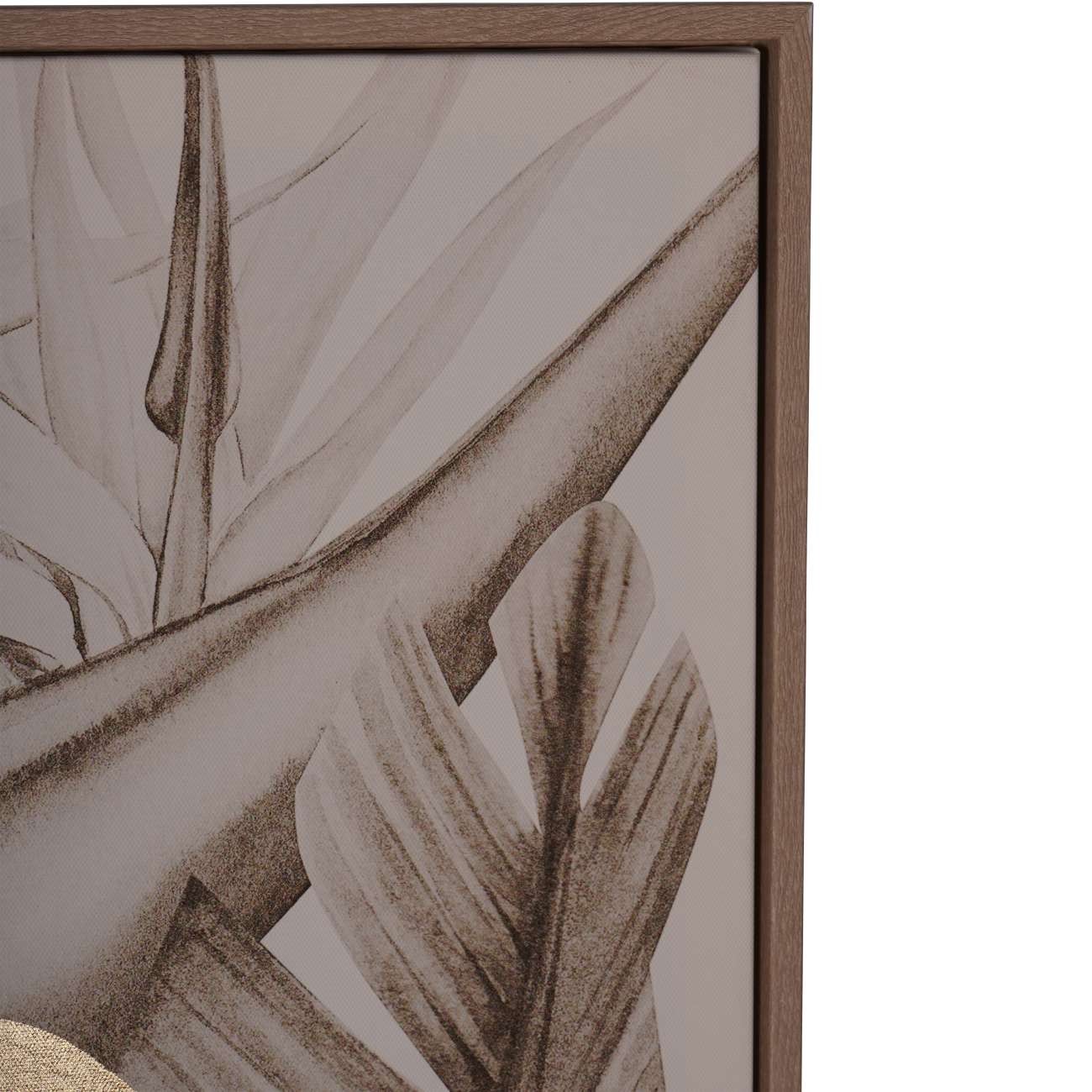 Aurora Macaw Triptych Wall Art