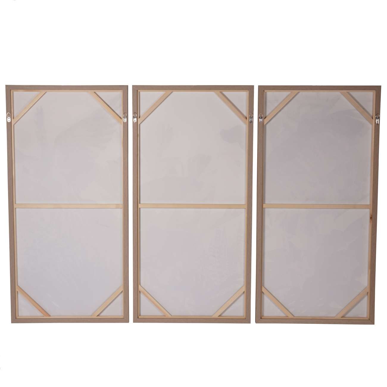 Aurora Macaw Triptych Wall Art