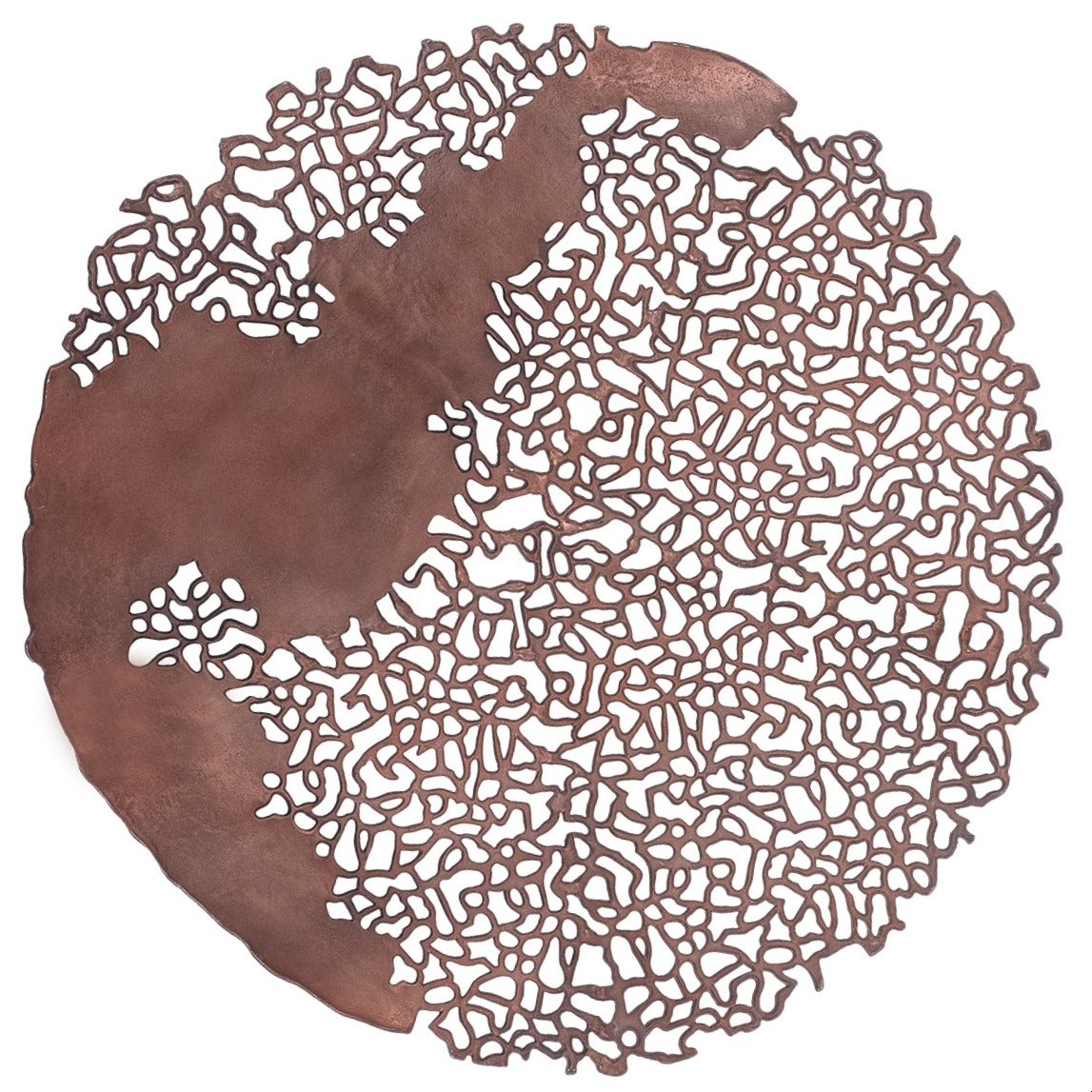 Coralline Veil Wall Sculpture | Raw Bronze