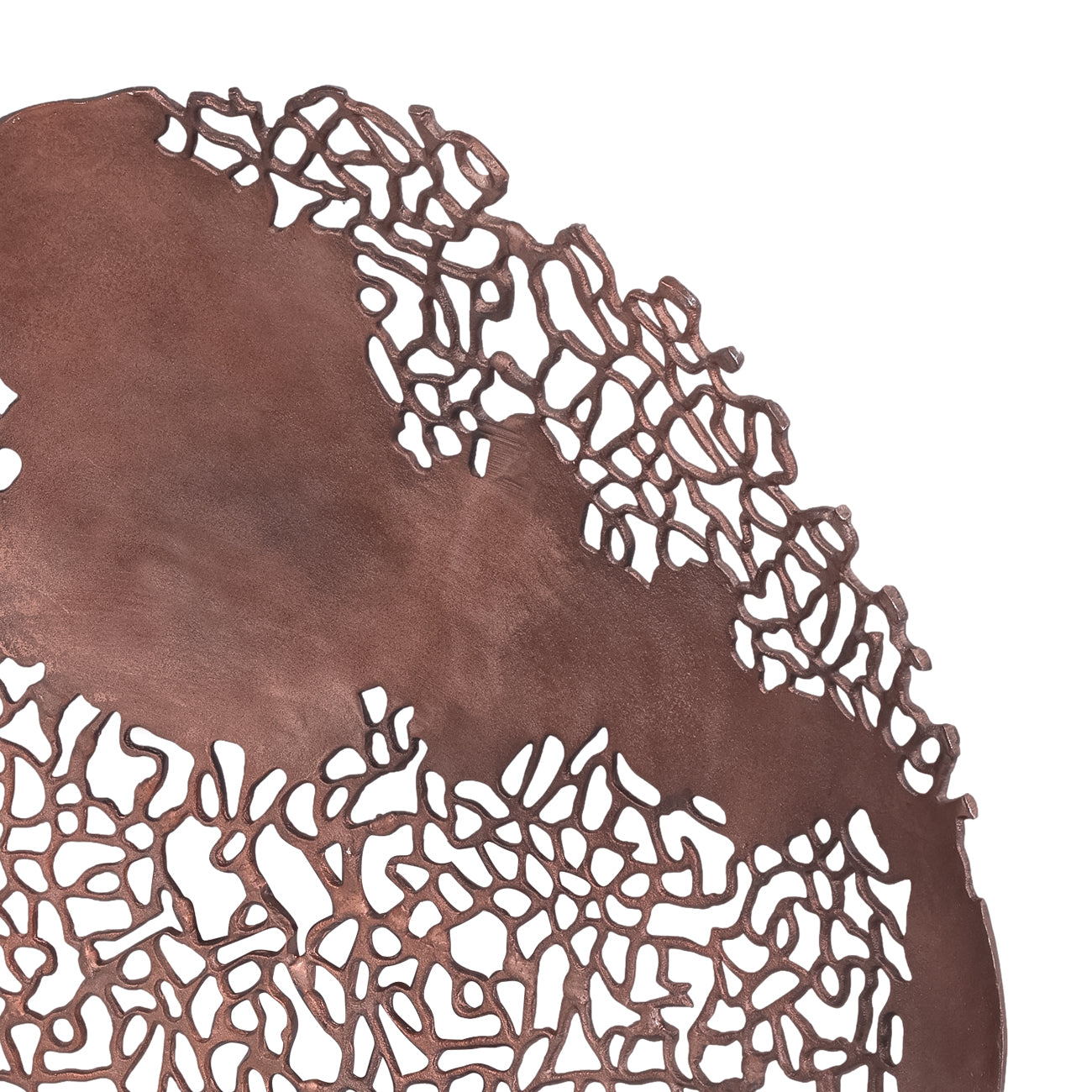 Coralline Veil Wall Sculpture | Raw Bronze