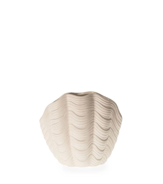 Decorative Shell Vase White